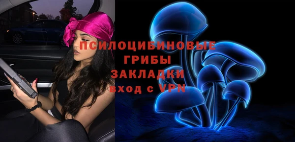 прущая мука Арсеньев