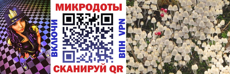 Псилоцибиновые грибы ЛСД Майкоп