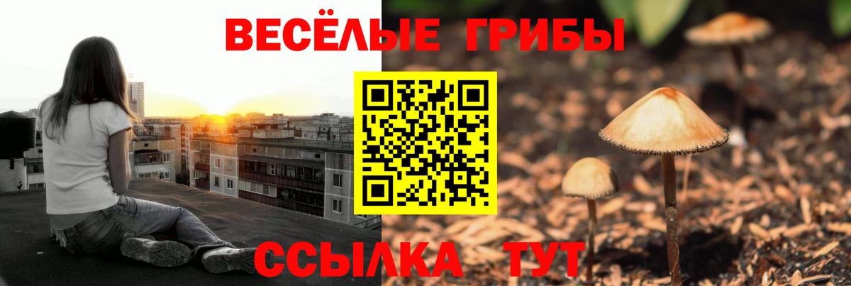 Псилоцибиновые грибы Psilocybine cubensis  Вход с VPN  Майкоп  Псилоцибиновые грибы MAGIC MUSHROOMS 