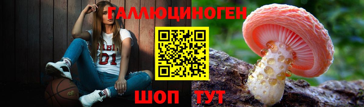 Псилоцибиновые грибы Cubensis Майкоп